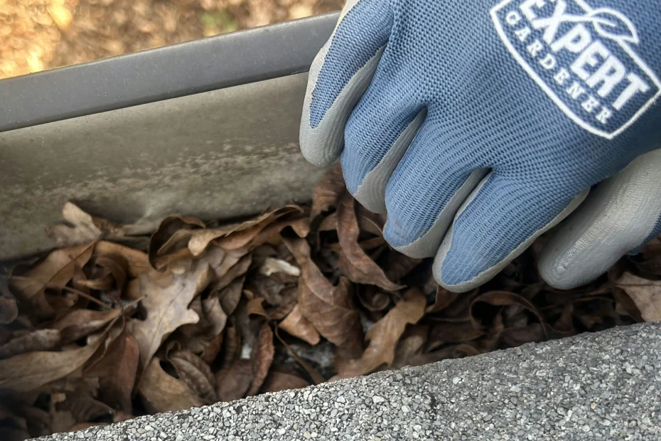 Gutter Cleaning Loveland