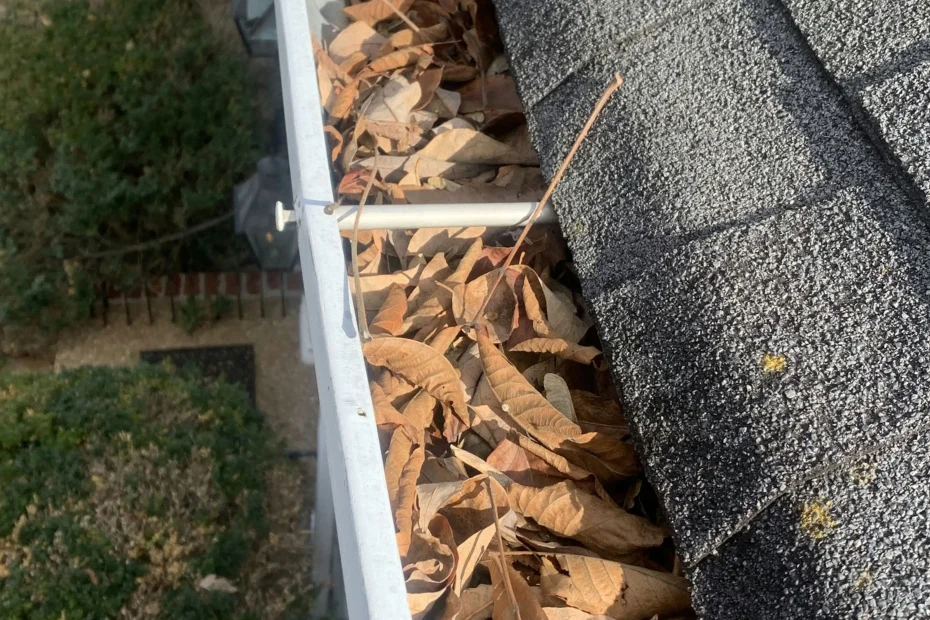 Gutter Cleaning Loveland