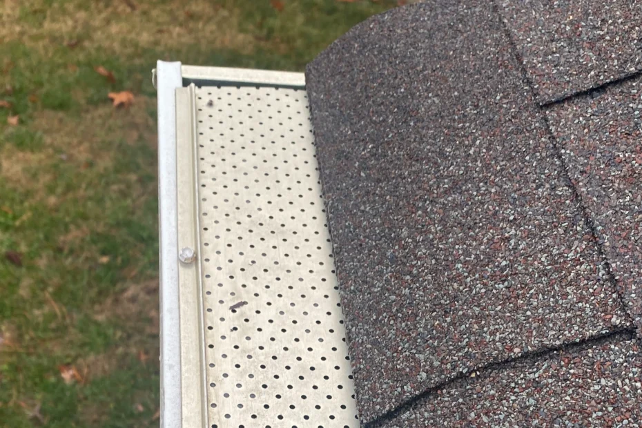 Gutter Cleaning Loveland