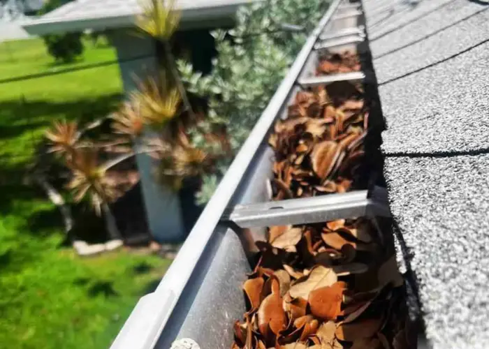 Gutter Cleaning Loveland home page